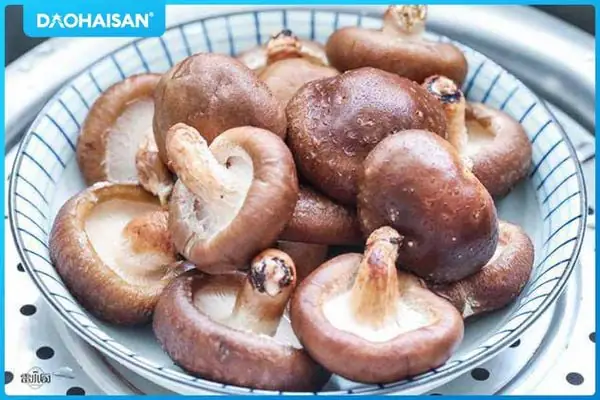 cách nấu cháo bào ngư cách nấu cháo bào ngư