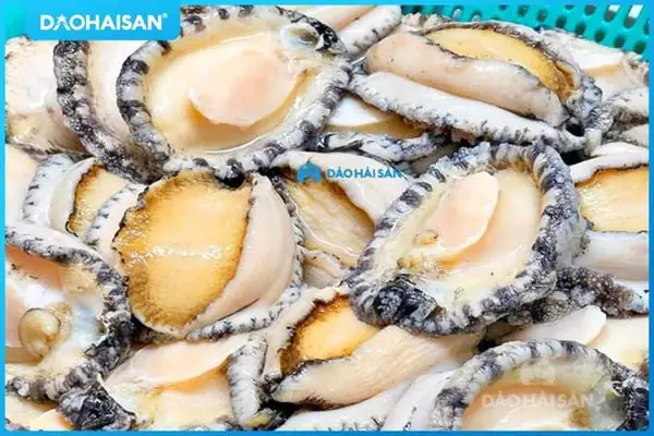 cách nấu cháo bào ngư cách nấu cháo bào ngư