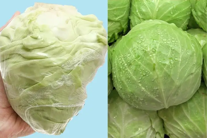 Cách Nấu Cháo Bắp Cải Cho Bé Thơm Ngon, Bổ Dưỡng Đầy Đủ Dưỡng Chất