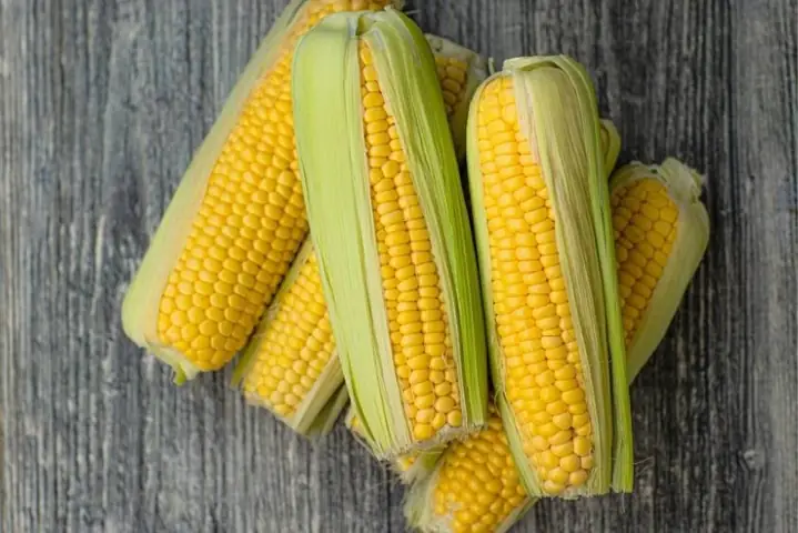 Hướng Dẫn Chi Tiết Cách Nấu Cháo Bắp Non Cho Bé Ăn Dặm