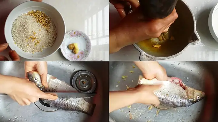 Cách Nấu Cháo Cá Chép Đậu Xanh Thơm Bùi, Không Tanh Cho Mọi Nhà