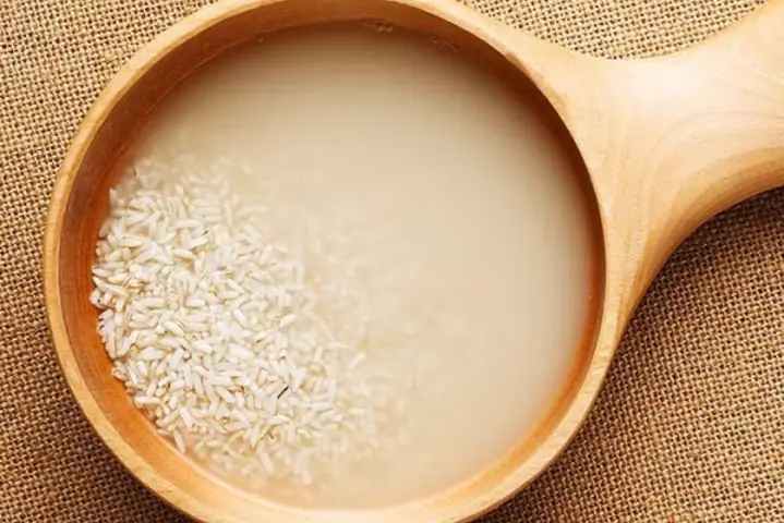 Cách Nấu Cháo Cá Hồi Cải Bó Xôi Cho Bé Từ A Đến Z Ngon Miệng, Dinh Dưỡng