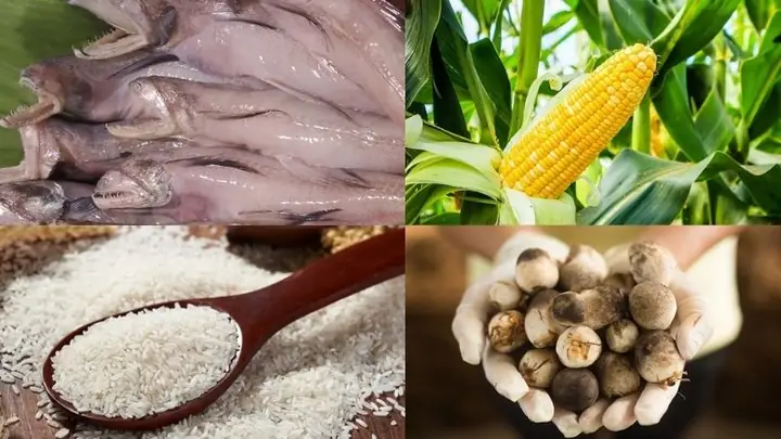 Cách Nấu Cháo Cá Khoai Thơm Ngon, Không Tanh Chuẩn Vị Miền Tây