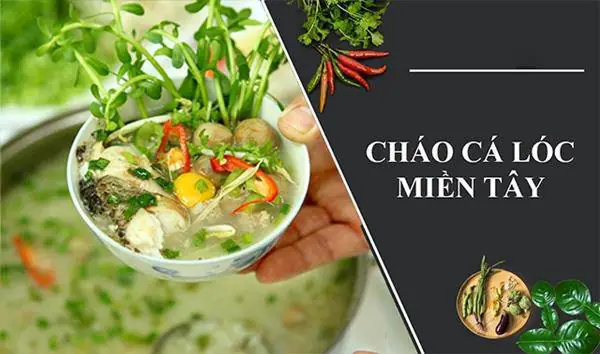 Cháo cá lóc rau đắng chuẩn vị Sài Gòn Cháo cá lóc rau đắng chuẩn vị Sài Gòn