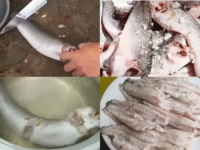 Cách Nấu Cháo Cá Lóc Miền Trung Thơm Ngon Chuẩn Vị Tại Nhà