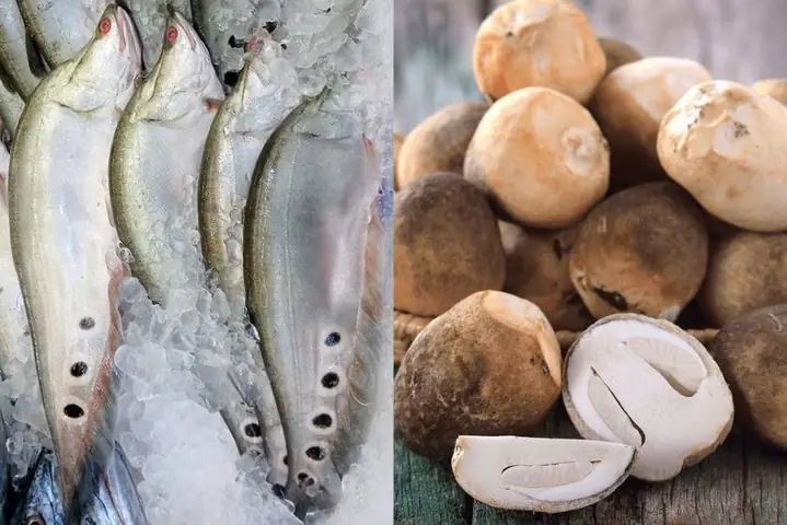 Cách Nấu Cháo Cá Thác Lác Cho Bé Ngon Miệng, Đủ Chất