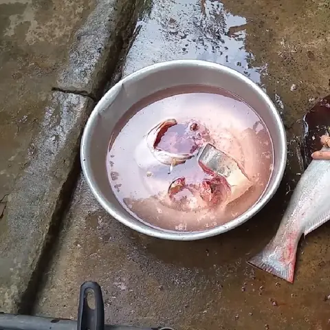 Cách Nấu Cháo Cá Tra Thơm Ngon, Bổ Dưỡng Mà Không Bị Tanh