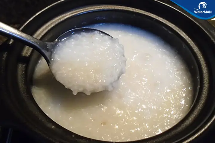 Cách Nấu Cháo Cá Trê Thơm Ngon, Bổ Dưỡng Chuẩn Vị Gia Đình