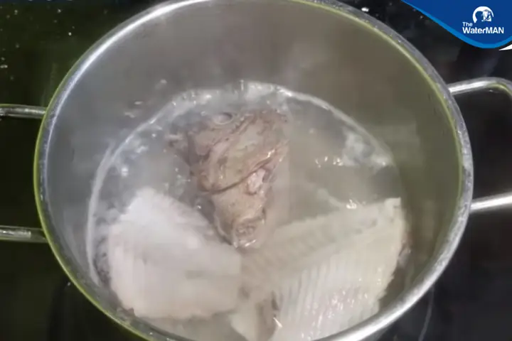 Cách Nấu Cháo Cá Trê Thơm Ngon, Bổ Dưỡng Chuẩn Vị Gia Đình