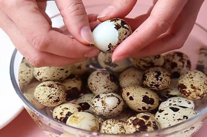 Cách chế biến Cách chế biến