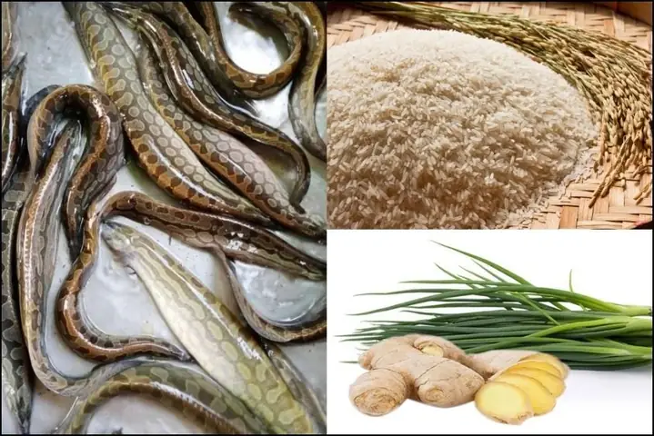 Làm thế nào để nấu cháo chạch cho bé thơm ngon, bổ dưỡng?