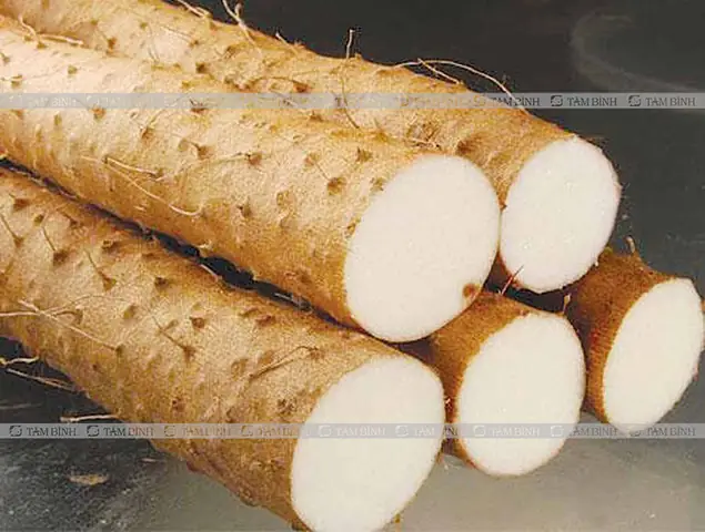 Cách Nấu Cháo Củ Mài Thơm Ngon, Bổ Dưỡng Cho Cả Gia Đình