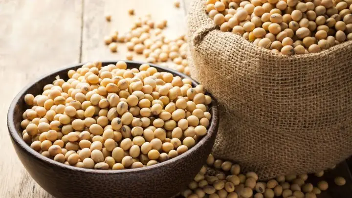 Hướng Dẫn Nấu Cháo Đậu Nành Cho Bé Ăn Dặm Chuẩn Dinh Dưỡng