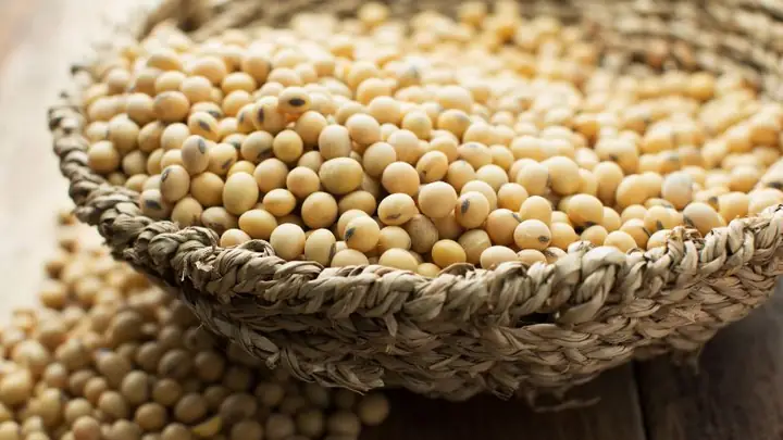 Hướng Dẫn Nấu Cháo Đậu Nành Cho Bé Ăn Dặm Chuẩn Dinh Dưỡng