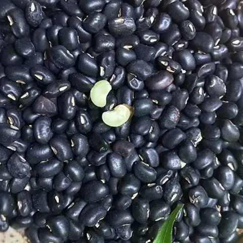 Cách Nấu Cháo Đậu Nước Cốt Dừa Thanh Mát, Thơm Ngon Tại Nhà