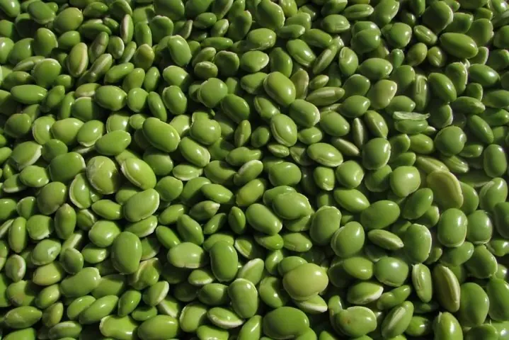 Cách Nấu Cháo Đậu Xanh Hạt Sen Cho Bé Thơm Ngon, Dễ Ăn