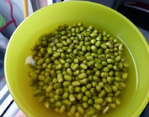 Hướng Dẫn Chi Tiết Cách Sơ Chế Đậu Xanh Nguyên Hạt và Gạo