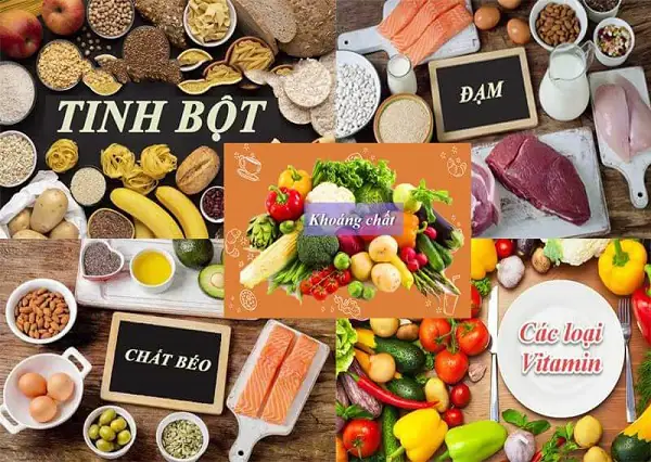 Nguyên liệu cần chuẩn bị để nấu cháo dinh dưỡng