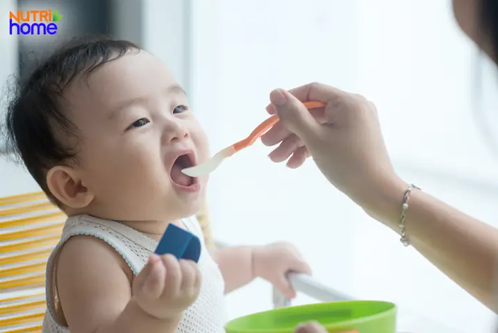 Cháo óc heo, đậu Hà Lan