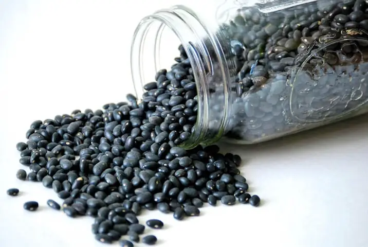 Cách Nấu Cháo Đỗ Đen Ngon, Chuẩn Vị Và Bổ Dưỡng Tại Nhà