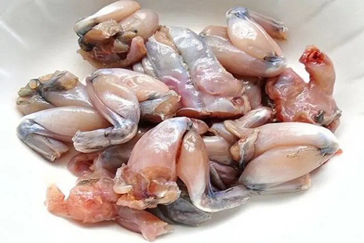 Cách Nấu Cháo Ếch Đậu Xanh Bổ Dưỡng, Không Tanh, Chuẩn Vị Cách Nấu Cháo Ếch Đậu Xanh Bổ Dưỡng, Không Tanh, Chuẩn Vị