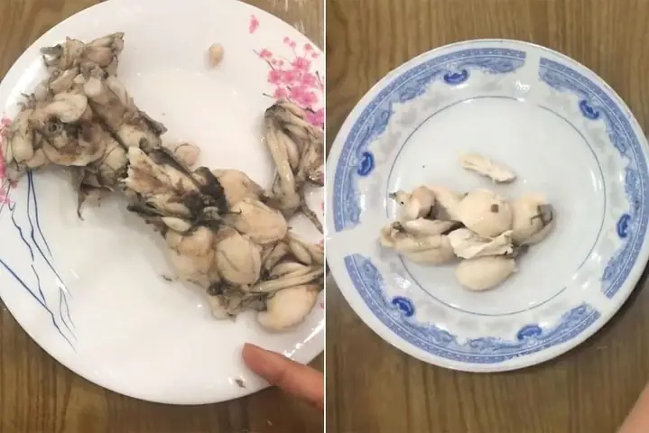 Cách Nấu Cháo Ếch Rau Mồng Tơi Cho Bé Ăn Dặm Thơm Ngon, Bổ Dưỡng