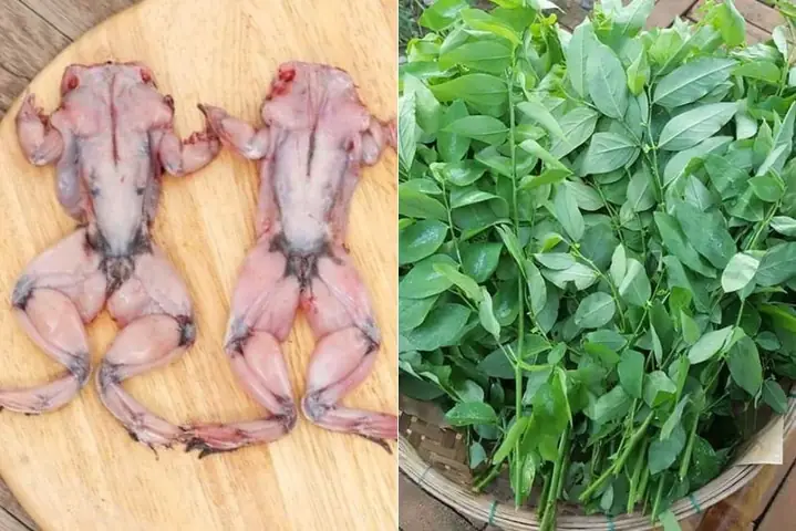 Cách Nấu Cháo Ếch Với Rau Gì Ngon, Chuẩn Vị Tại Nhà?