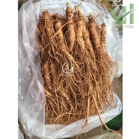 Cách Nấu Cháo Gà Với Sâm Tươi: Bí Quyết Bồi Bổ Sức Khỏe Chuẩn Vị Gia Đình