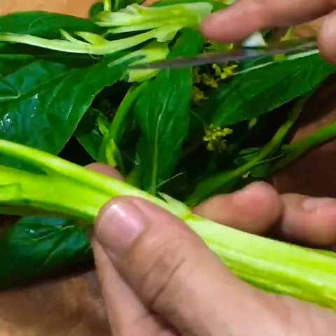 Cách Nấu Cháo Gan Gà Cho Bé Ăn Dặm Đủ Dinh Dưỡng & An Toàn Cách Nấu Cháo Gan Gà Cho Bé Ăn Dặm Đủ Dinh Dưỡng & An Toàn