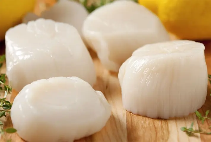 Hướng Dẫn Chi Tiết Cách Nấu Cháo Hải Sâm Khô Chuẩn Vị Ngon Bổ