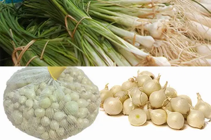 Cách Nấu Cháo Hành Tăm Giải Cảm, Bổ Dưỡng Chuẩn Vị Gia Đình Việt