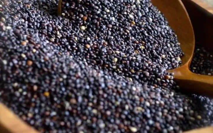 cách nấu cháo hạt quinoa cho bé