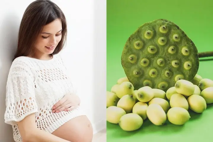 Hướng Dẫn Nấu Cháo Hạt Sen An Thai Chuẩn Vị, Dễ Làm