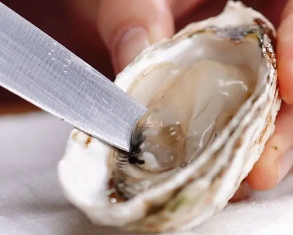 Cách Nấu Cháo Hàu Hải Sản Thơm Ngon Chuẩn Vị Tại Nhà Cách Nấu Cháo Hàu Hải Sản Thơm Ngon Chuẩn Vị Tại Nhà