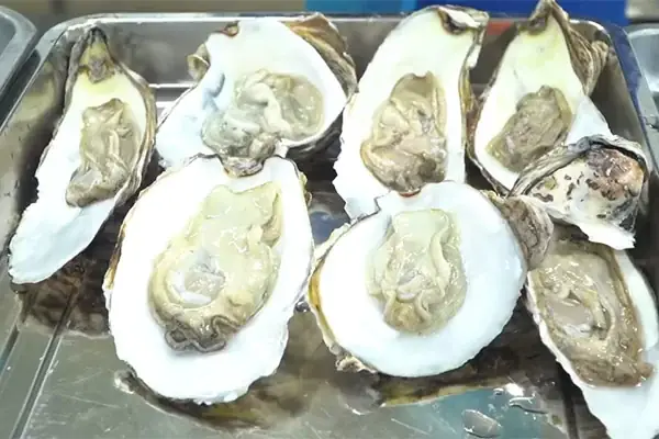 Cách chọn hàu tươi ngon