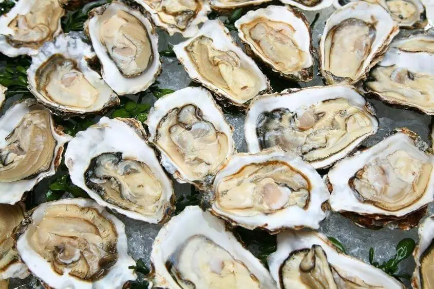 cách nấu cháo hàu ngon