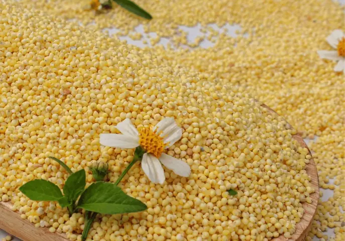 Cách Nấu Cháo Kê Gà Cho Bé Ăn Dặm Chuẩn Dinh Dưỡng