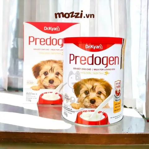 Cách nấu cháo loãng cho chó con: Hướng dẫn chi tiết từ A-Z để cún khỏe mạnh