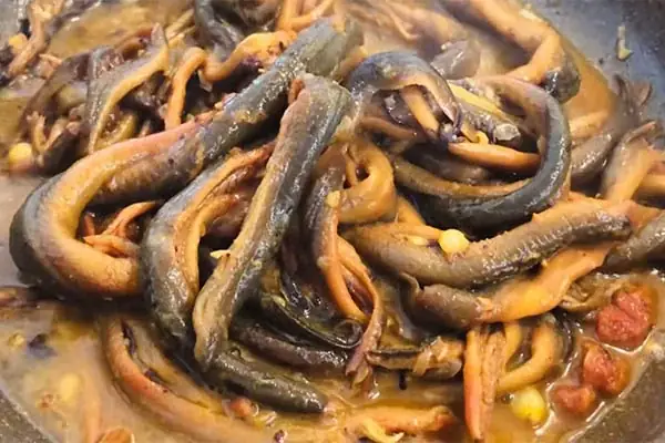 cách nấu cháo lươn ngon