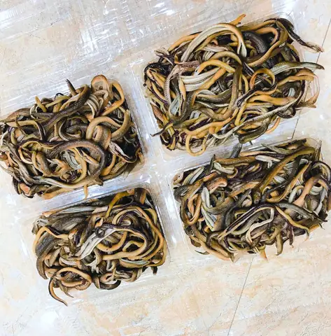 Hướng Dẫn Chi Tiết Cách Nấu Cháo Lươn Thanh Hóa Ngon Chuẩn Vị