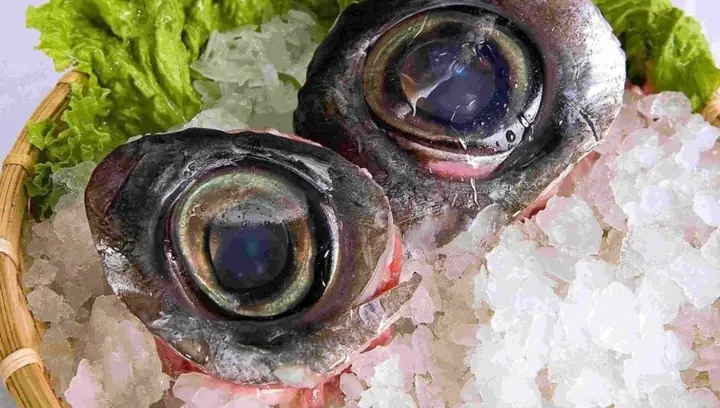 Cách Nấu Cháo Mắt Cá Ngừ Đại Dương Thơm Ngon, Bổ Dưỡng Cách Nấu Cháo Mắt Cá Ngừ Đại Dương Thơm Ngon, Bổ Dưỡng