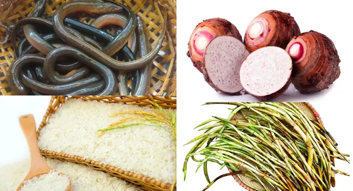 Cách Nấu Cháo Môn Lươn Mắm Ruốc Đậm Đà, Chuẩn Vị Miền Tây Cách Nấu Cháo Môn Lươn Mắm Ruốc Đậm Đà, Chuẩn Vị Miền Tây