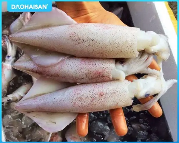 Cách sơ chế mực không bị tanh