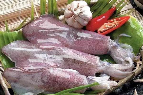 Hướng Dẫn Chi Tiết Cách Nấu Cháo Mực Tươi Thơm Ngon Bổ Dưỡng