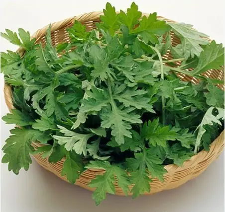 Cách nấu cháo ngải cứu thơm ngon, bổ dưỡng tại nhà