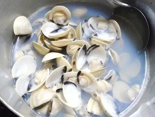 Cách Nấu Cháo Nghêu Đậu Xanh Thơm Ngon Bổ Dưỡng Tại Nhà Cách Nấu Cháo Nghêu Đậu Xanh Thơm Ngon Bổ Dưỡng Tại Nhà