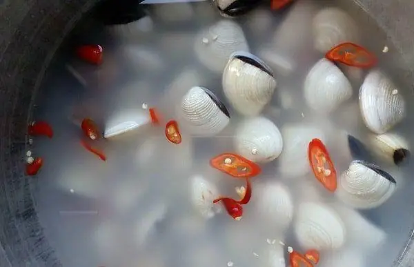 3. Cách nấu cháo nghêu thơm ngon 3. Cách nấu cháo nghêu thơm ngon