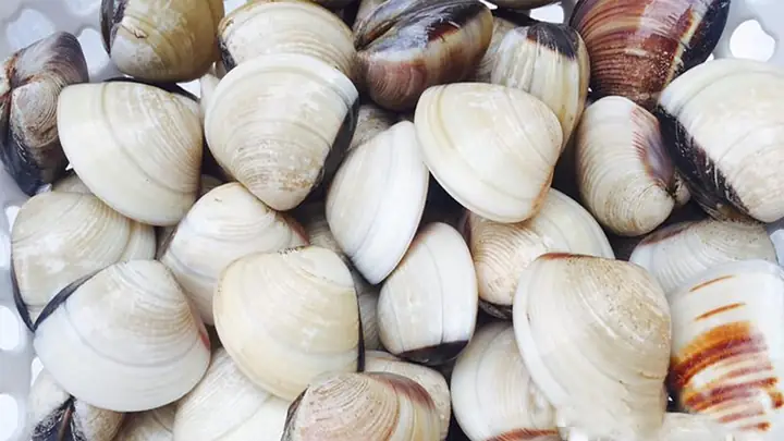 2. Nguyên liệu cần chuẩn bị 2. Nguyên liệu cần chuẩn bị