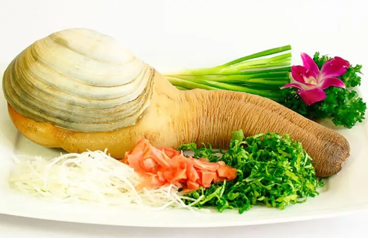 Cách Nấu Cháo Ốc Vòi Voi Chuẩn Vị, Thơm Ngon Tại Nhà Cách Nấu Cháo Ốc Vòi Voi Chuẩn Vị, Thơm Ngon Tại Nhà