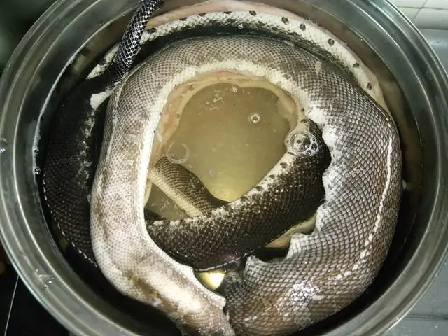 Cách Nấu Cháo Rắn Đậu Xanh Thơm Ngon, Bổ Dưỡng, Chuẩn Vị Miền Tây